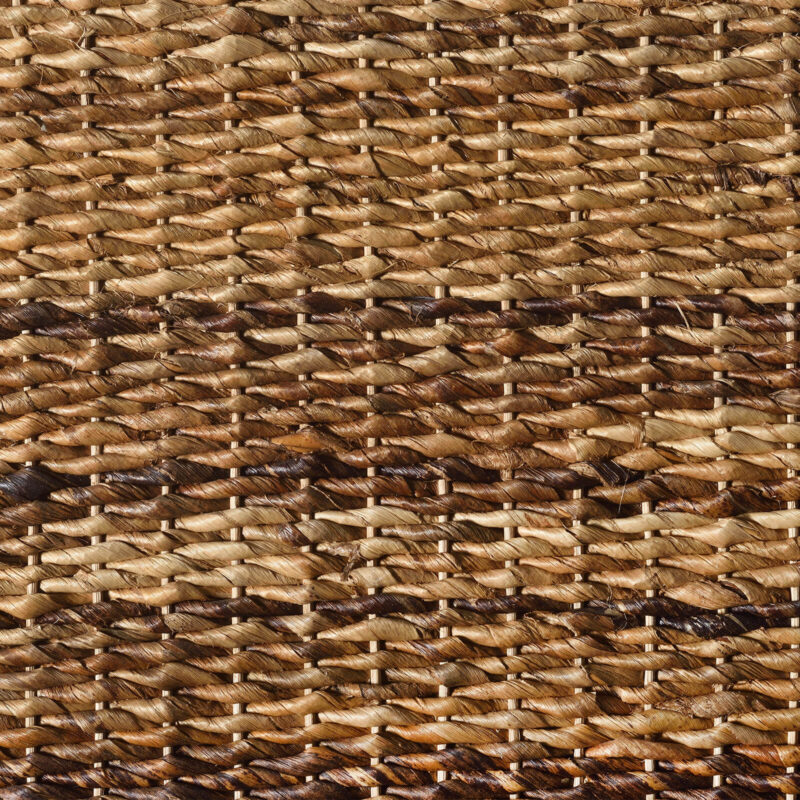 caneplexus mats M128