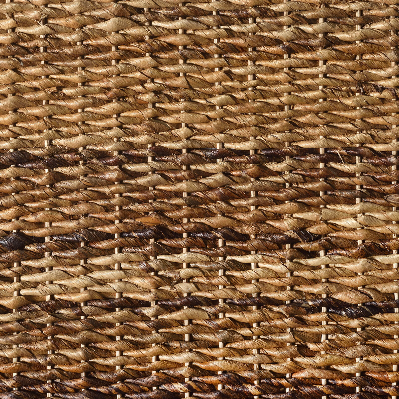 caneplexus mats M128