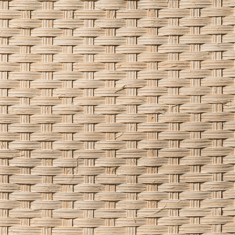 caneplexus-mats-M130