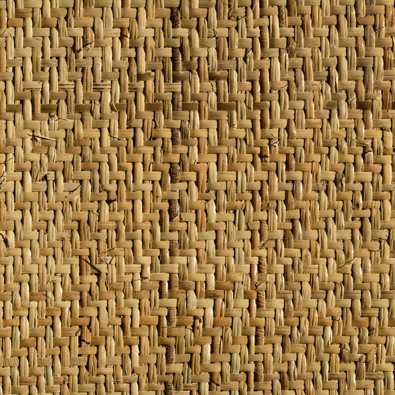 caneplexus-mats-M131