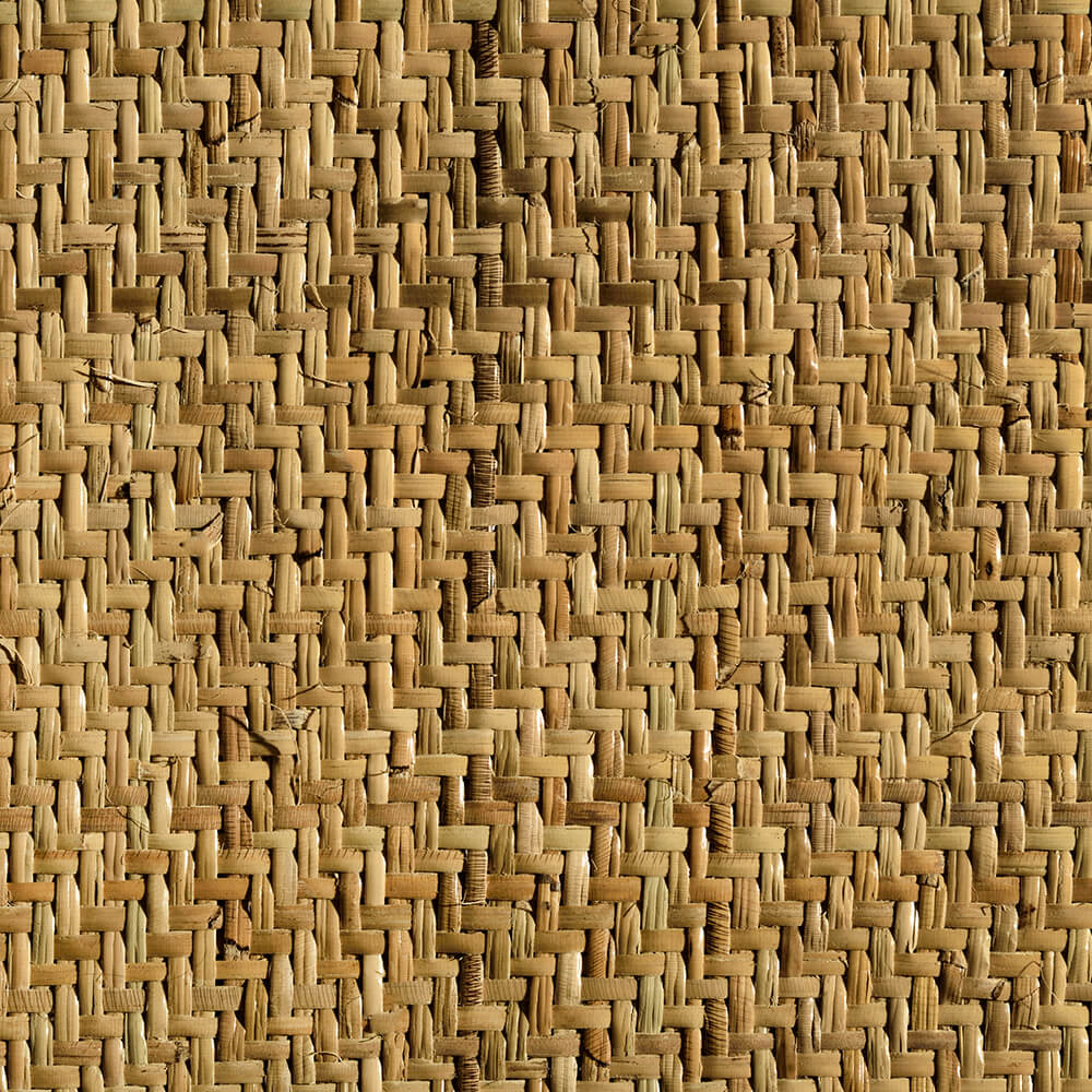 caneplexus-mats-M131