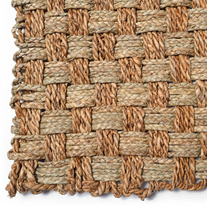 caneplexus mats M166