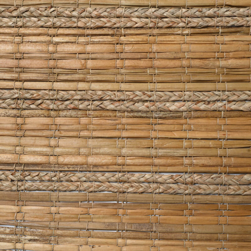 caneplexus mats M172