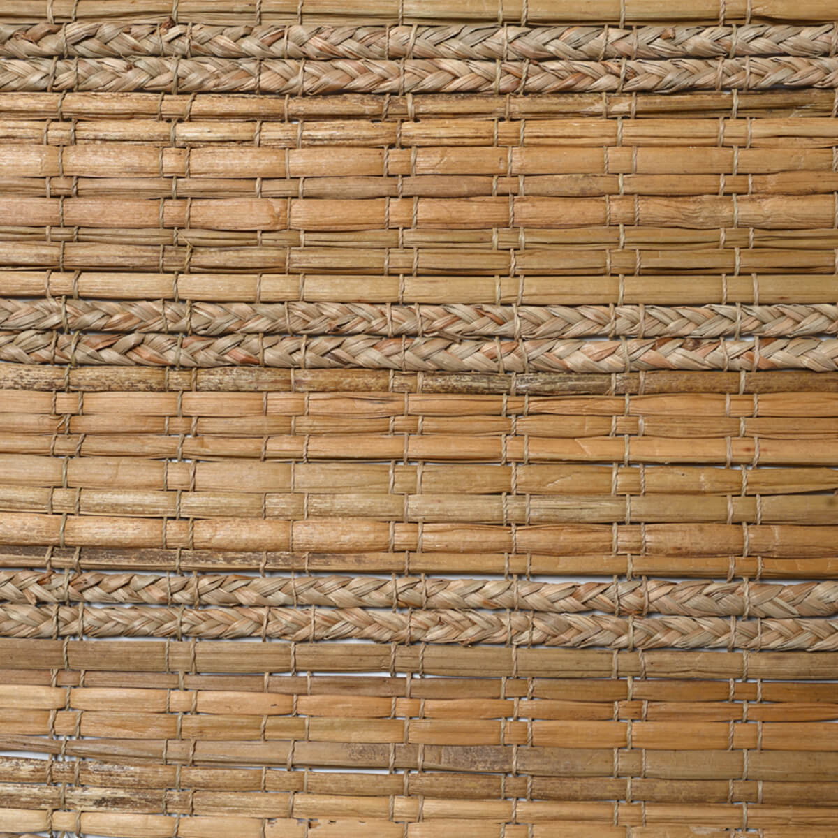 caneplexus mats M172