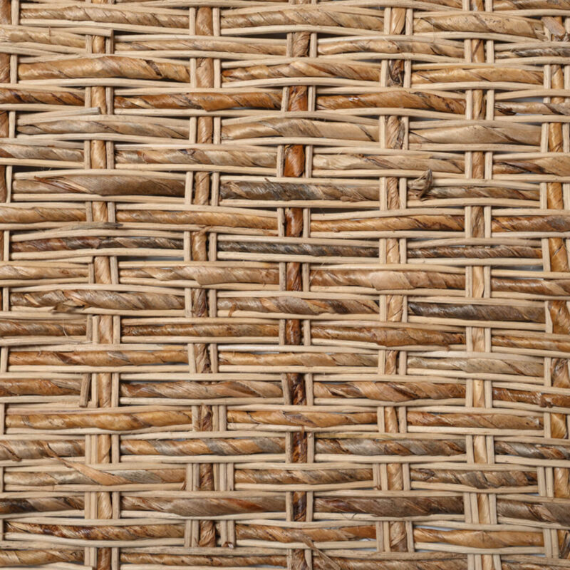 caneplexus mats M174