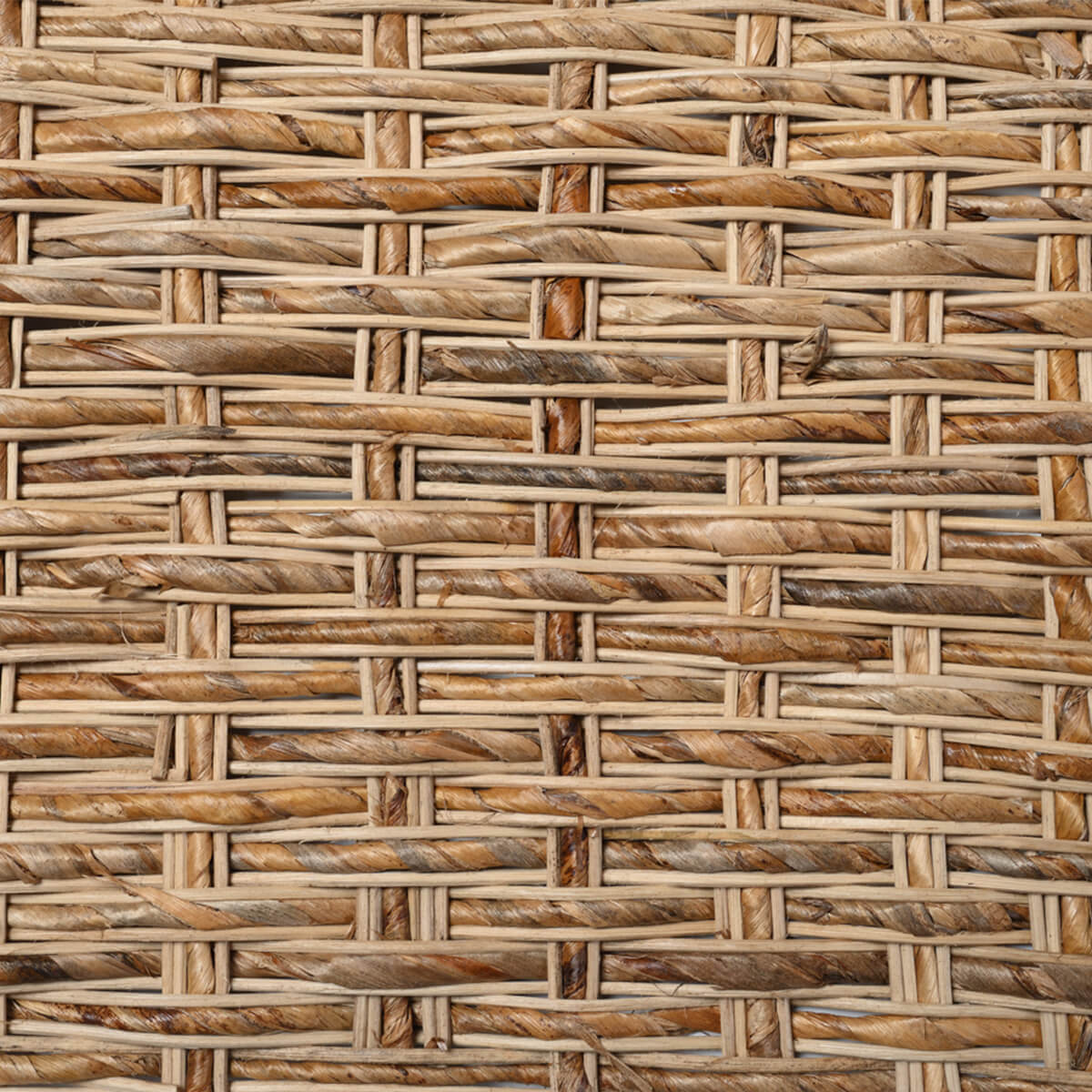 caneplexus mats M174