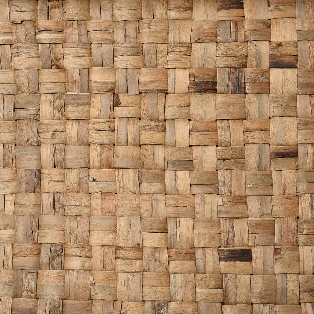 caneplexus-mats-M188