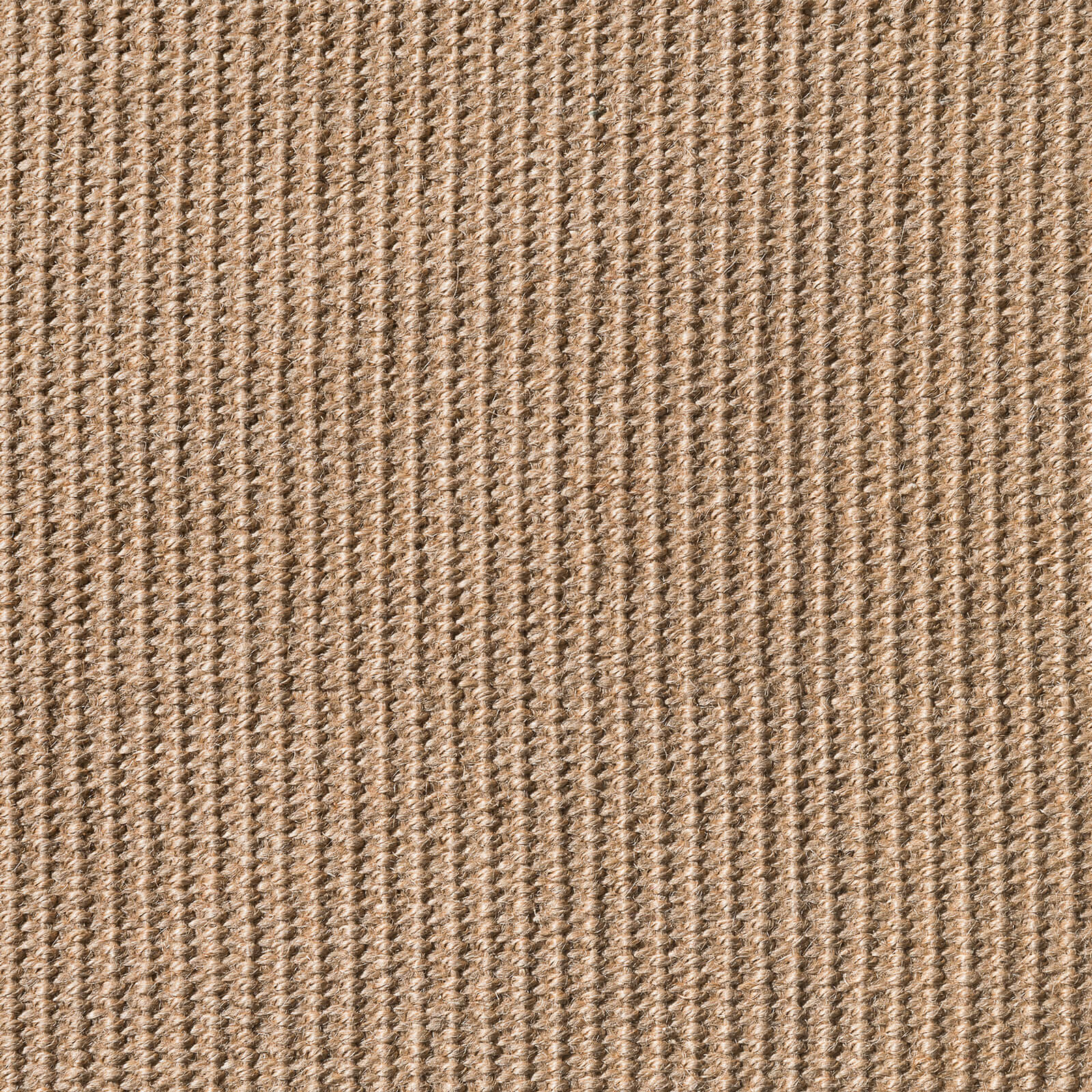 caneplexus mats M211