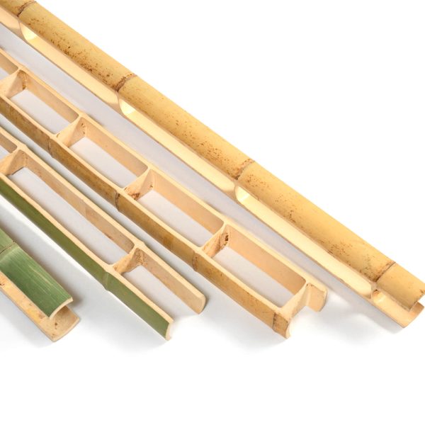 caneplexus poles bamboo center 600x600 1