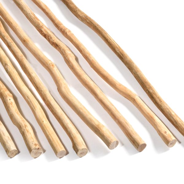 caneplexus poles jelam 600x600 1