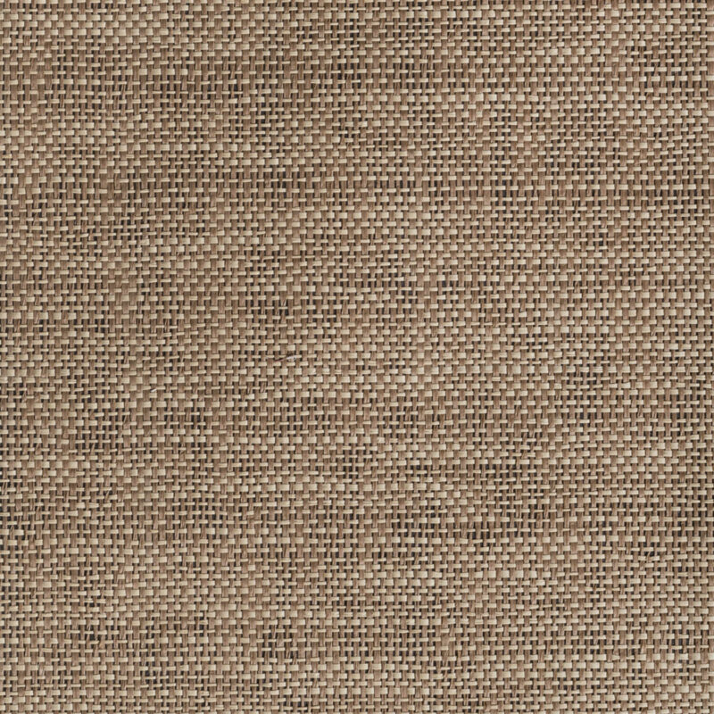 caneplexus wallpaper W177