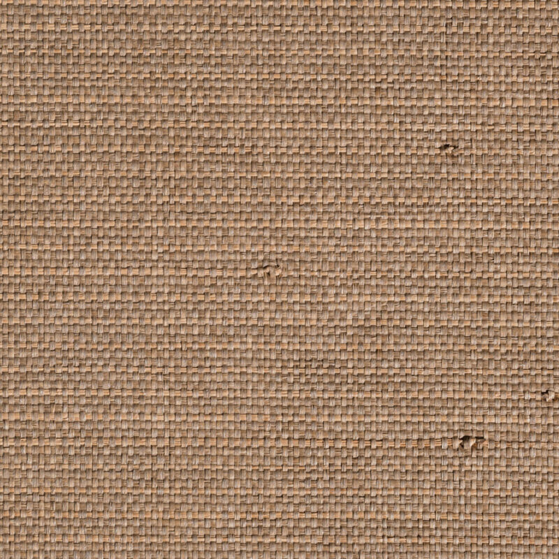 caneplexus wallpaper W195