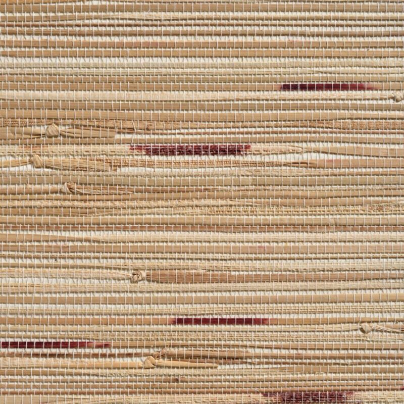 caneplexus wallpapers W138