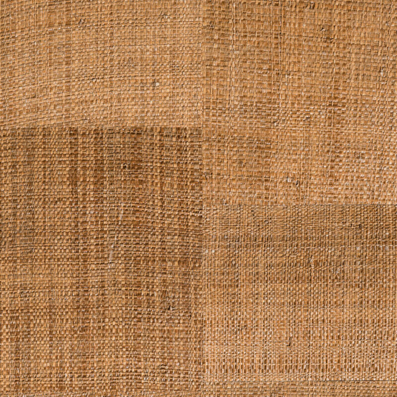 caneplexus wallpapers W198