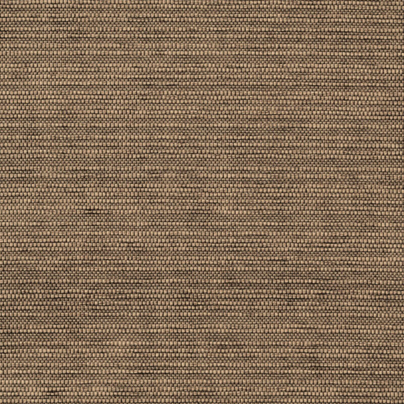 caneplexus wallpapers W202