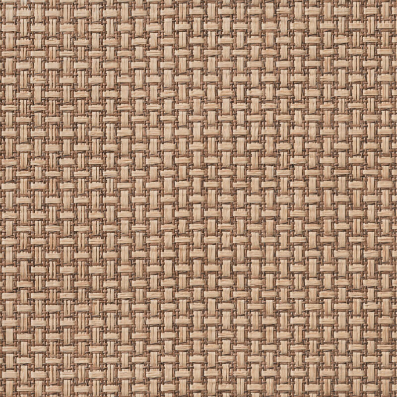 caneplexus wallpapers W203