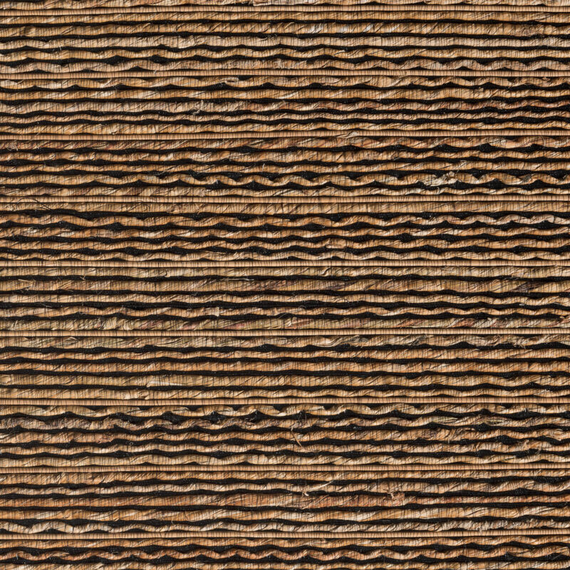 caneplexus wallpapers W214