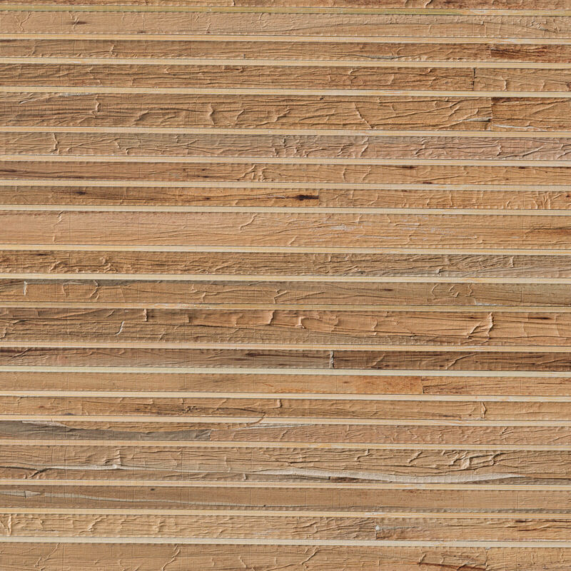 caneplexus wallpapers W222