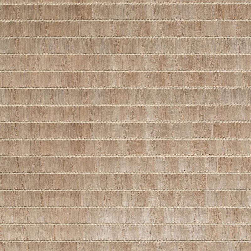 caneplexus wallpapers W225