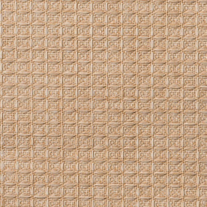 caneplexus wallpapers W228