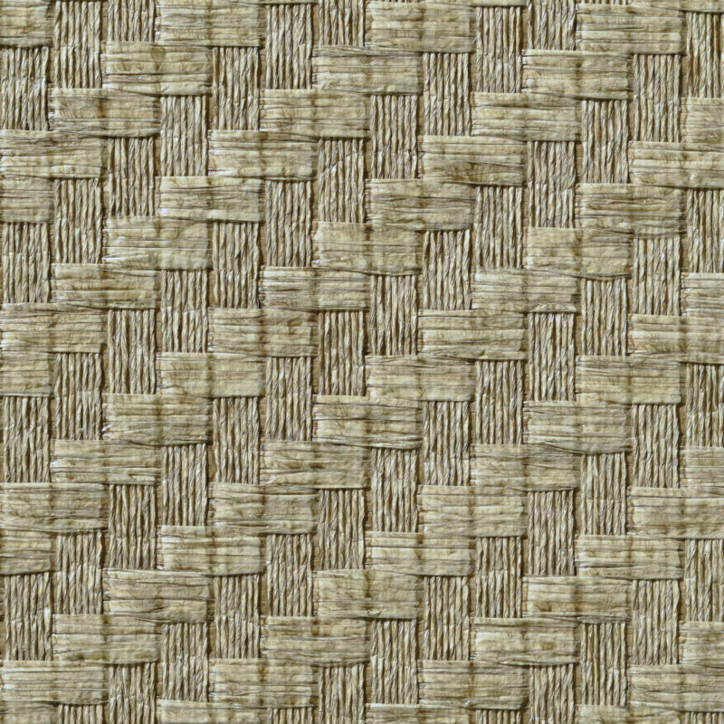 caneplexus wallpapers W237