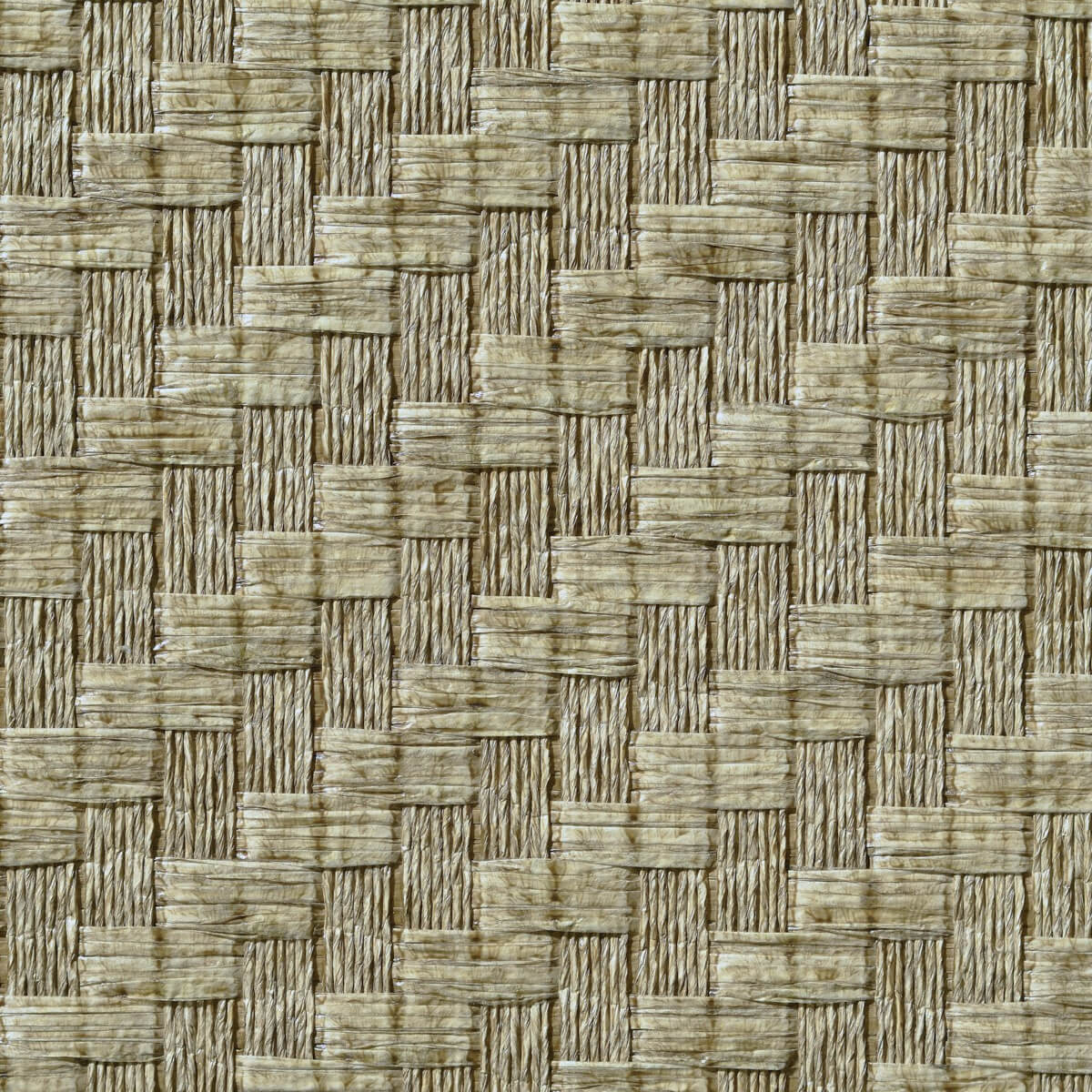 caneplexus wallpapers W237