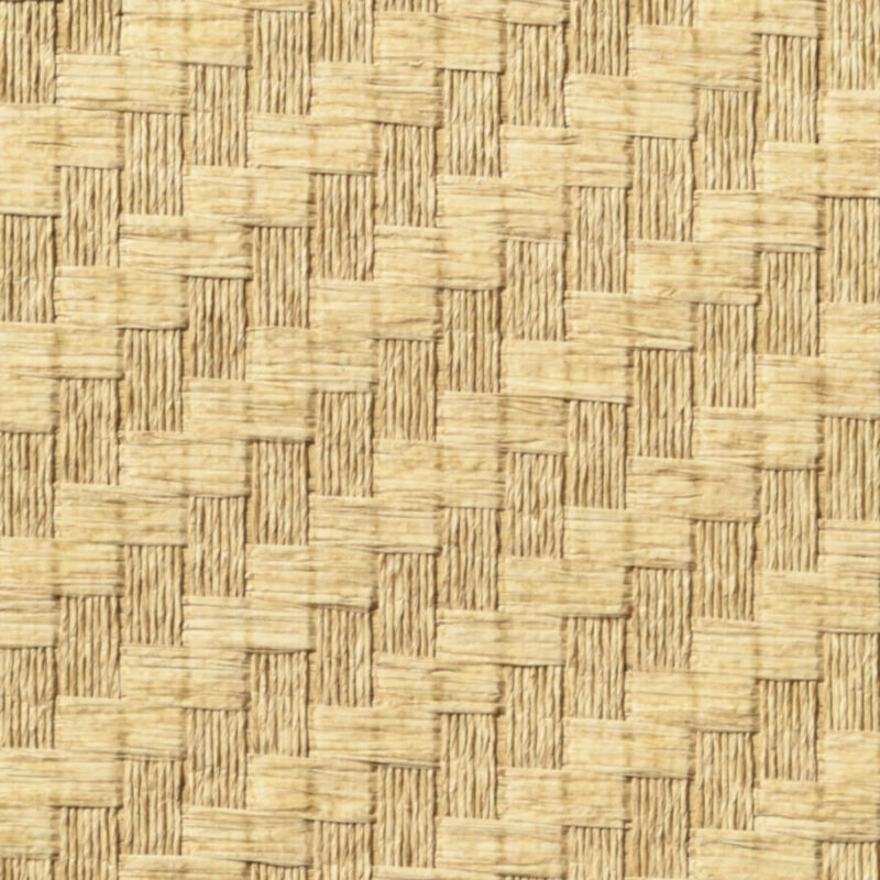 caneplexus wallpapers W238