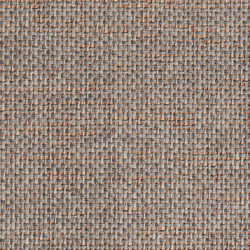 caneplexus wallpapers W241