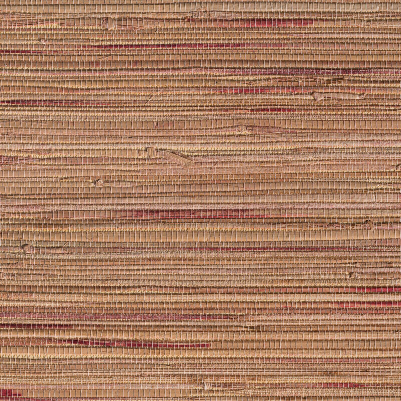 caneplexus wallpapers W243