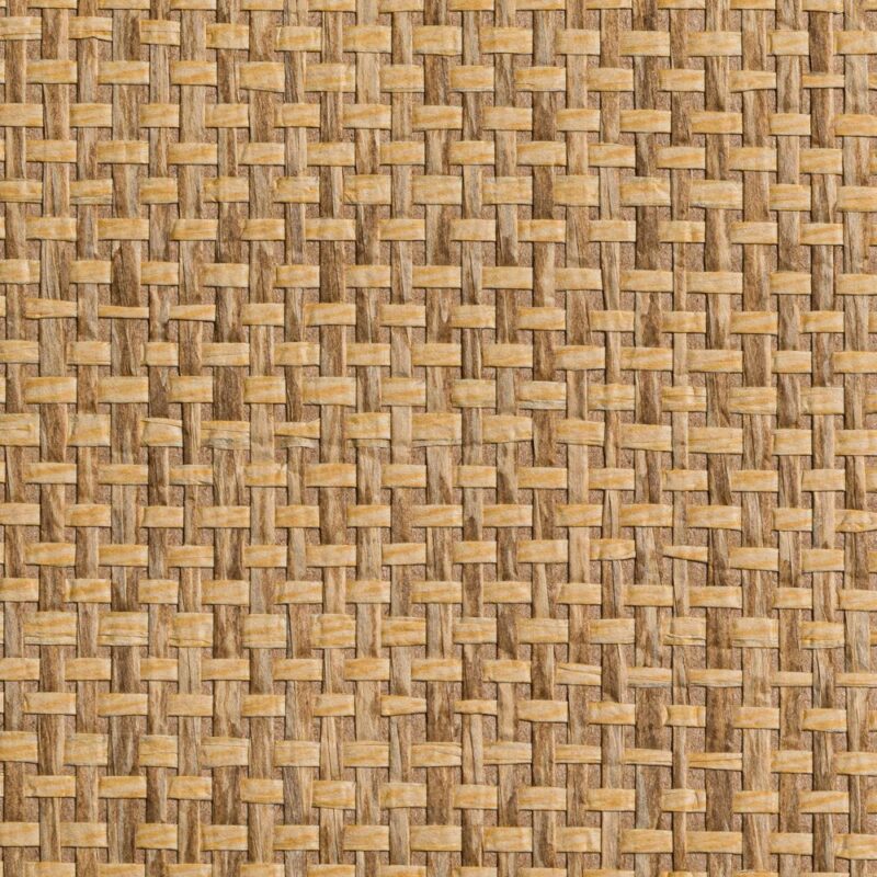 caneplexus wallpapers W188