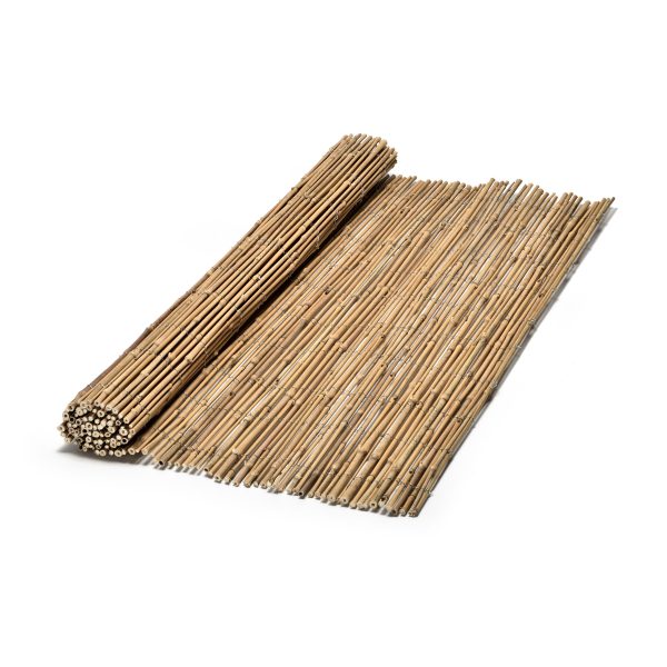 reeds reed bamboo ku 6 10mm 01 2 600x600 1