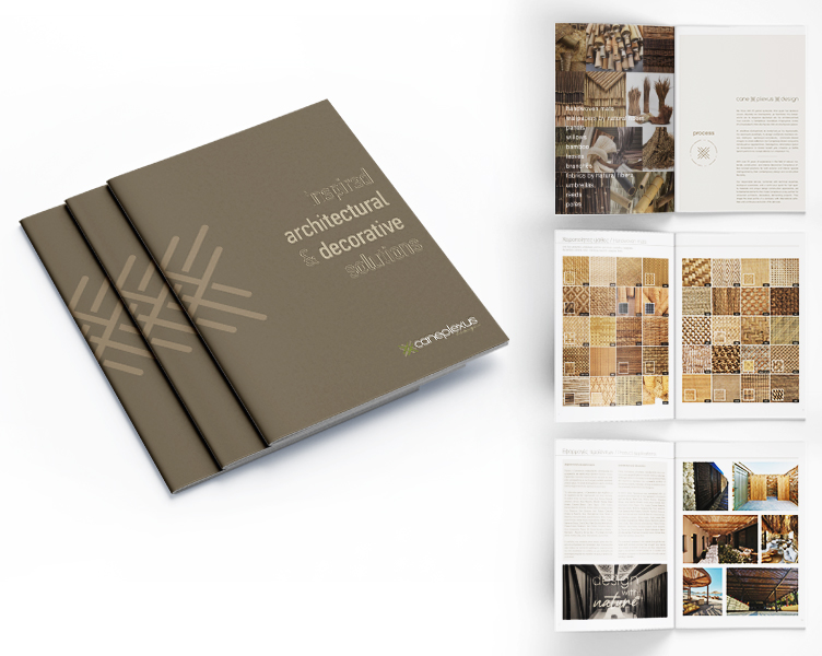 caneplexus brochure 2025 26