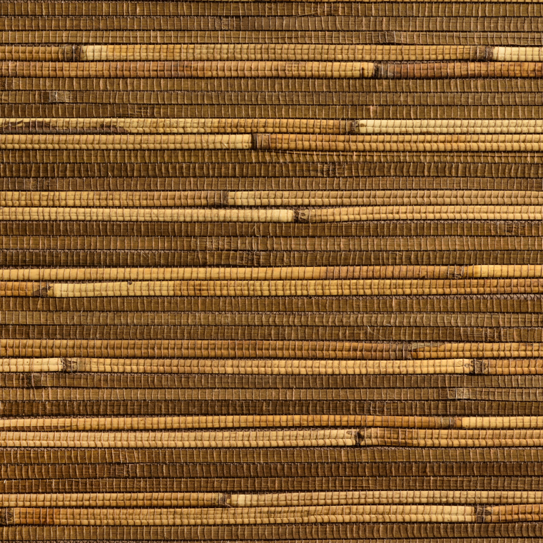 caneplexus wallpapers W102