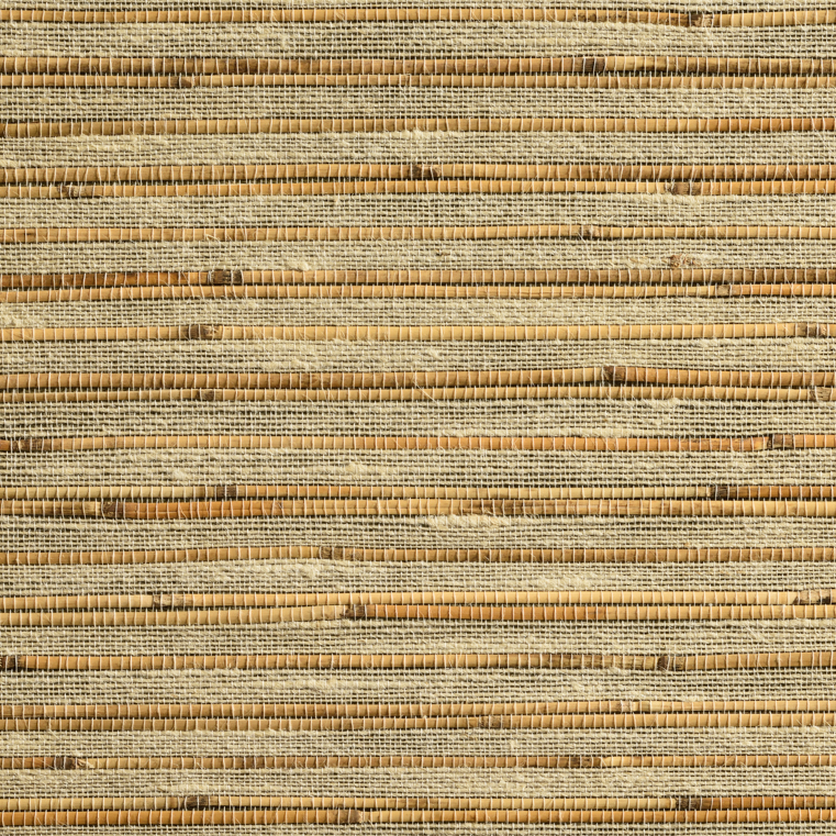 caneplexus wallpapers W103