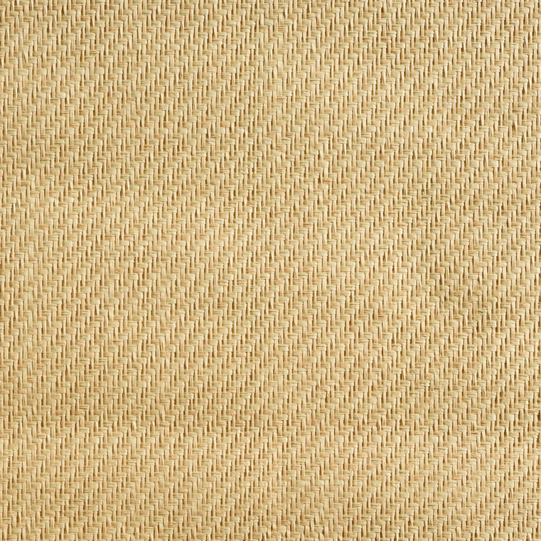 caneplexus wallpapers W106