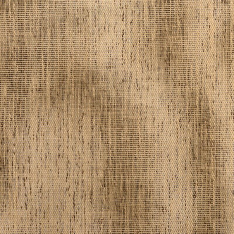 caneplexus wallpapers W112