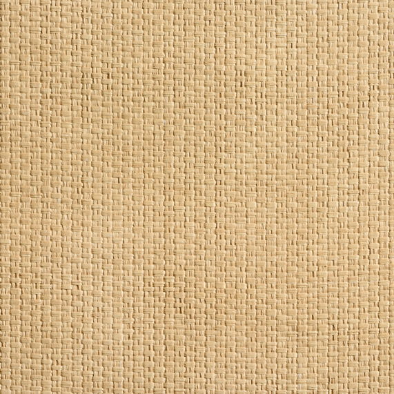 caneplexus wallpapers W115