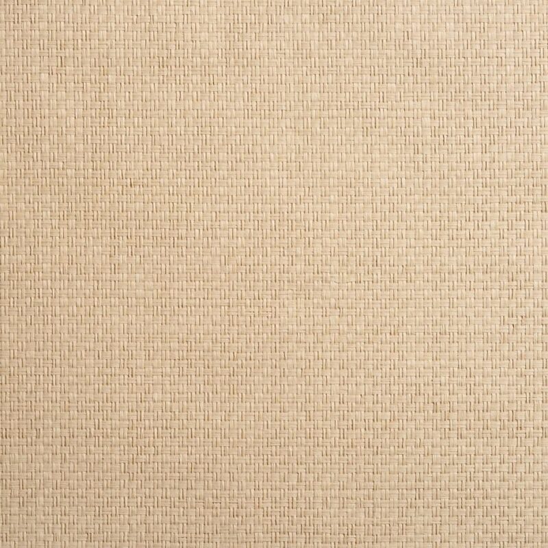 caneplexus wallpapers W116