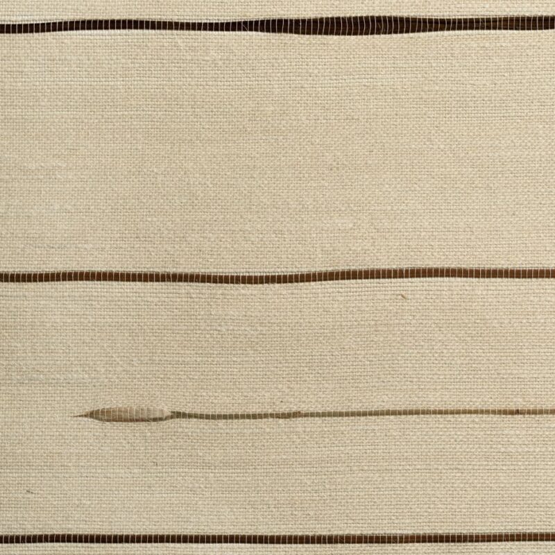 caneplexus wallpapers W117