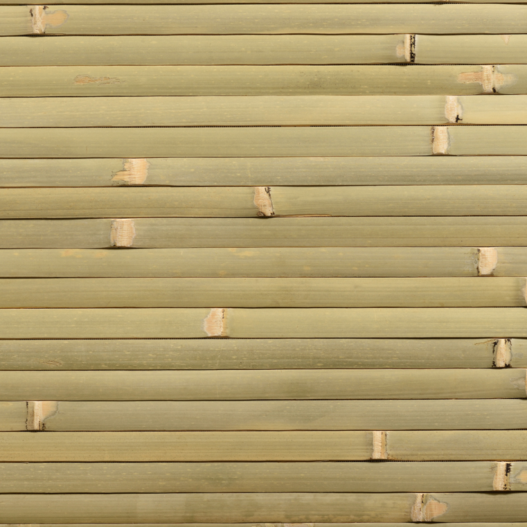 caneplexus wallpapers W119