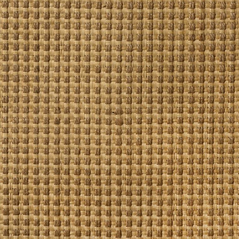 caneplexus wallpapers W126