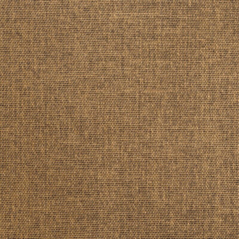 caneplexus wallpapers W128