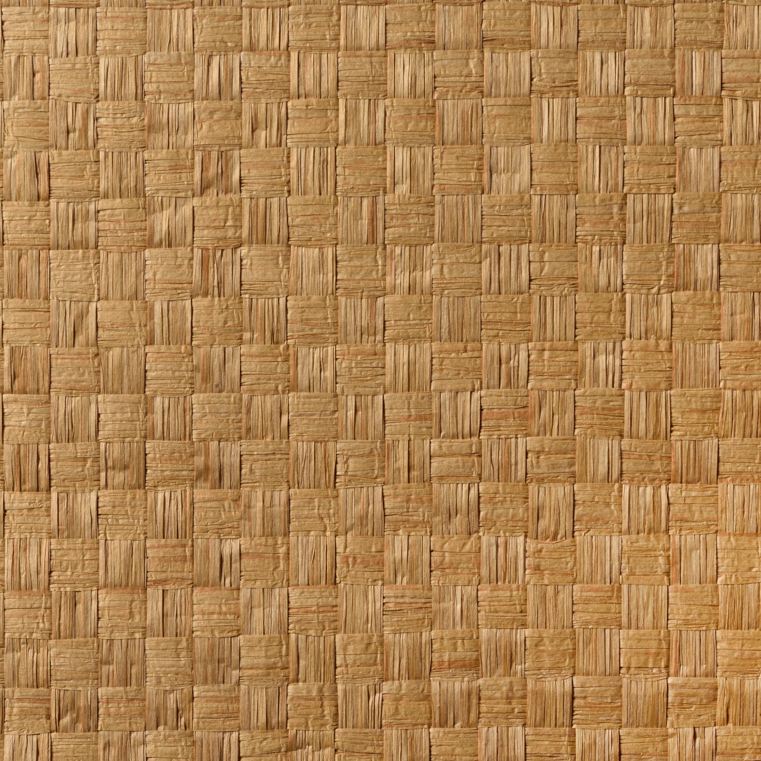 caneplexus wallpapers W130