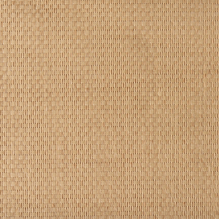 caneplexus wallpapers W131