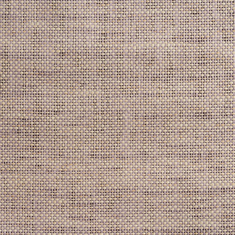 caneplexus wallpapers W132