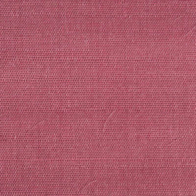 caneplexus wallpapers W136