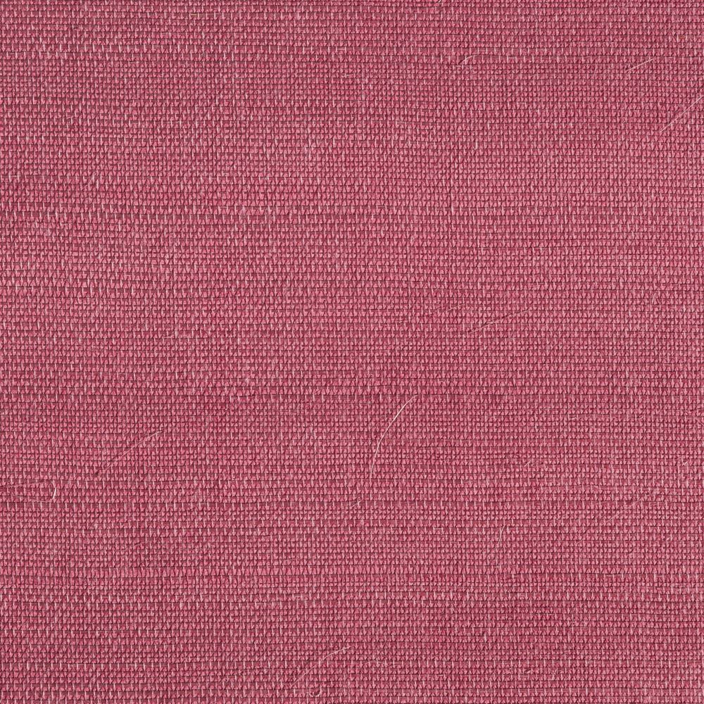 caneplexus wallpapers W136