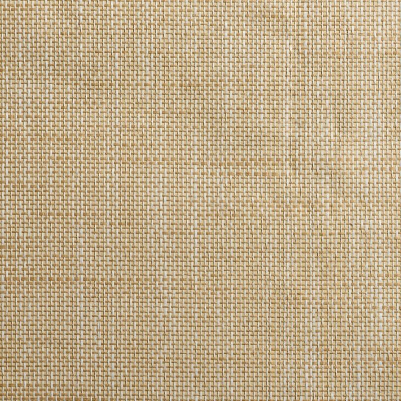 caneplexus wallpapers W143