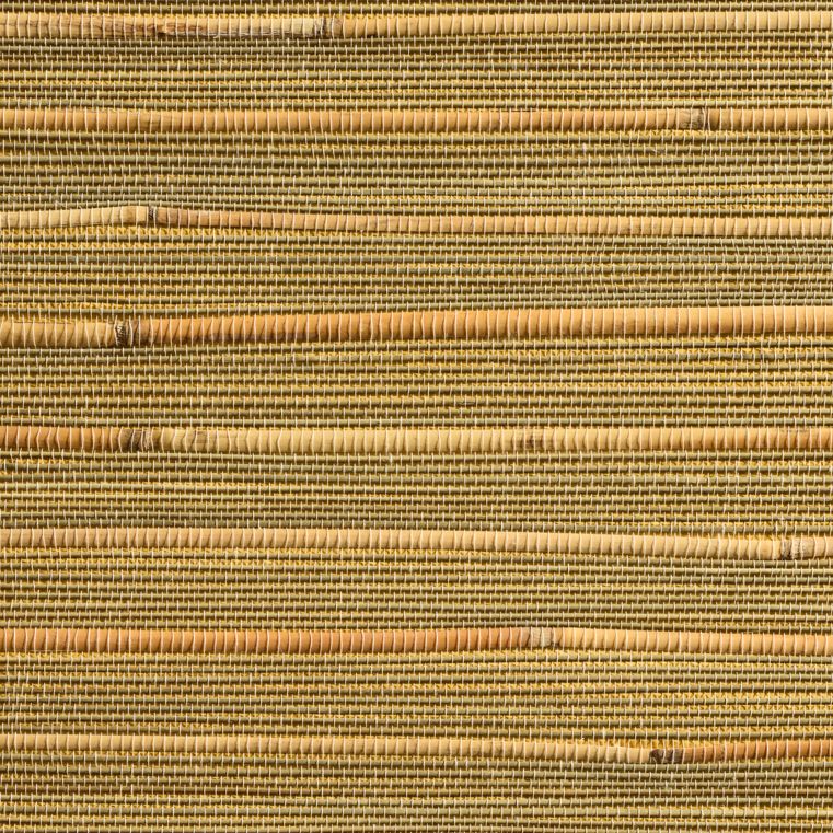 caneplexus wallpapers W147