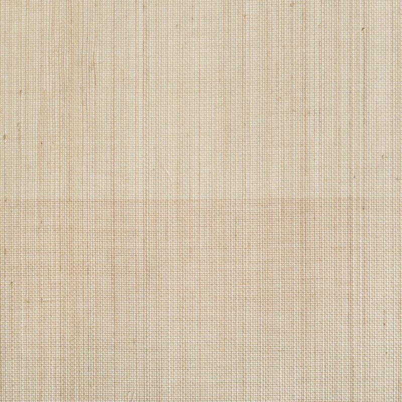 caneplexus wallpapers W151